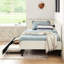 Structure de lit simple beige avec 2 tiroirs de rangement, lit en velours convertible, style moderne, doux, revêtement en eucalyptus renforcé et tiroirs, réglable pour la configuration de la chambre à coucher, look, confortable