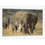 «African Elephant Group, Vulnerable, Samburi National Reserve, Kenya» par Gerry Ellis - reproduction d'art numérique sur toile tendue-30005292-72413855-72413850