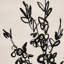 Sprig I by Coup D'esprit-1770249133
