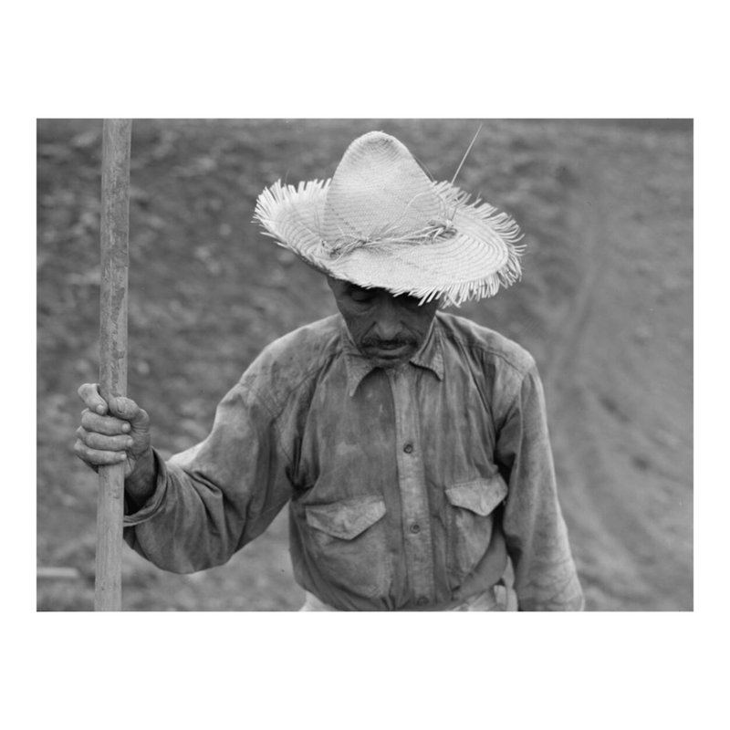 Barranquitas Porto Rico. Tabac fermier par Jack Delano - Estampe numérique, H 16 po x l 20 po