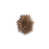 Brown is out of stock