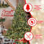Arbre de Noël 7 pi avec 750 lumières UL-1355938241