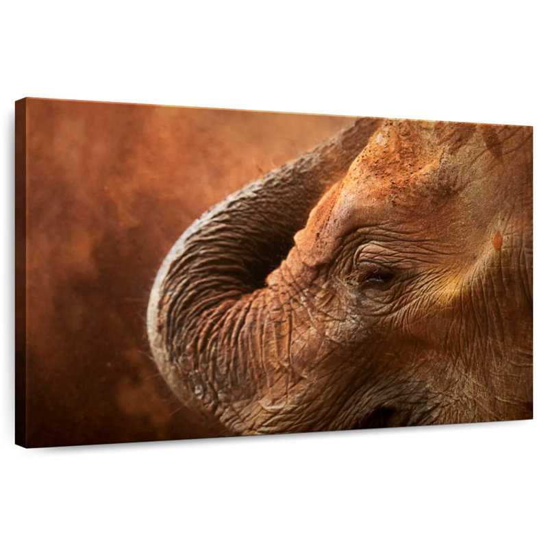 Brampt Sleeping Mammoth, 26" H x 39" W