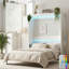 Armoire murale Farmhouse Murphy avec lumières DEL RVB, double, blanc-134455216-134455217