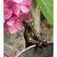 Gerner Animals UV Resistant Stone Garden Statue