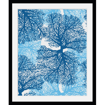Seaweed - Single Picture Frame Print