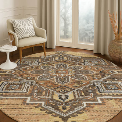 Machine Washable Indoor/Outdoor Chantille ACN2704 Global Rug