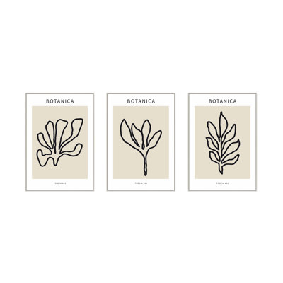 Foglio Botanica