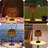 Outdoor Solar Desk Lamp