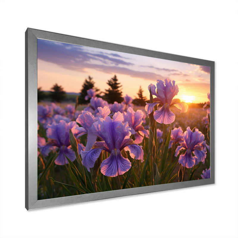 Champ d'iris mauve avec coucher de soleil II, Cadre simple argenté, H 24 po x l 32 po x P 1 po