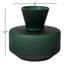 Vase de table en verre vert-1039023369