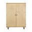 5 Compartment Manufactured Wood Classroom Cabinet