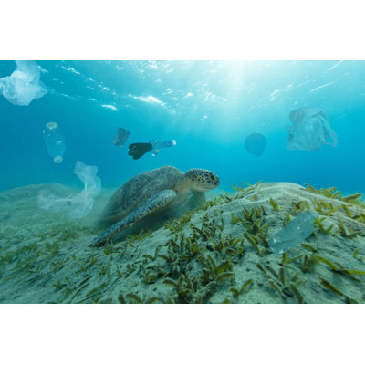 Underwater Global Problème avec des déchets en plastique par Jag_Cz - Photographie sur toile tendue