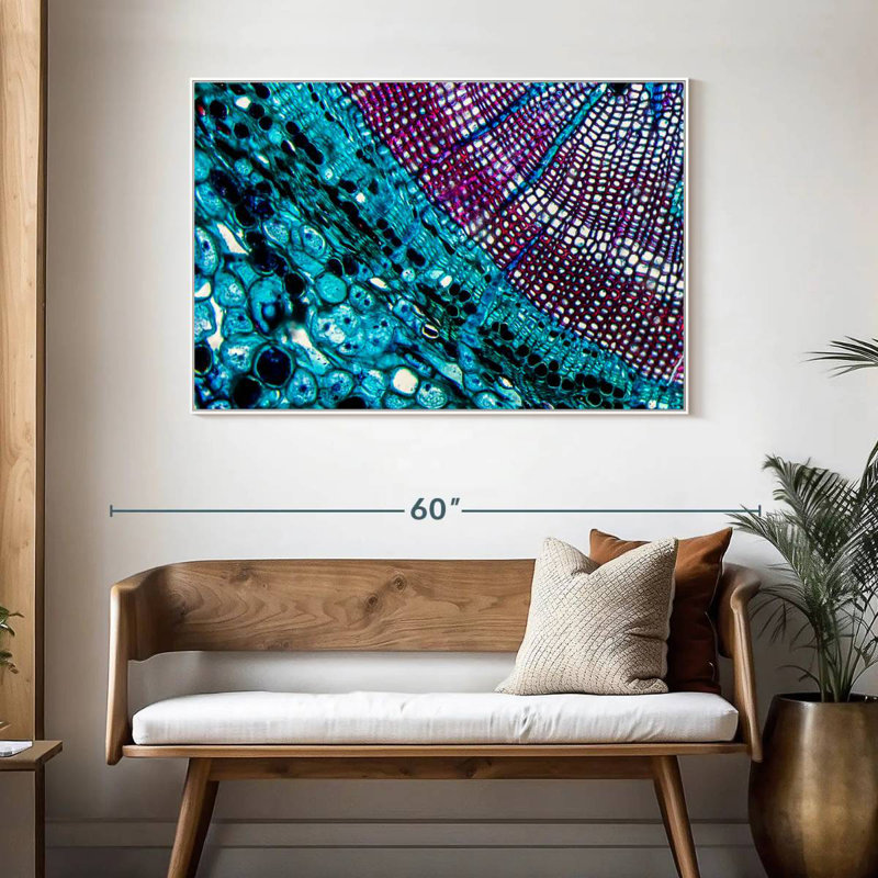 Pine Stem Under Microscope, Floating Frame White, 46" X 31"