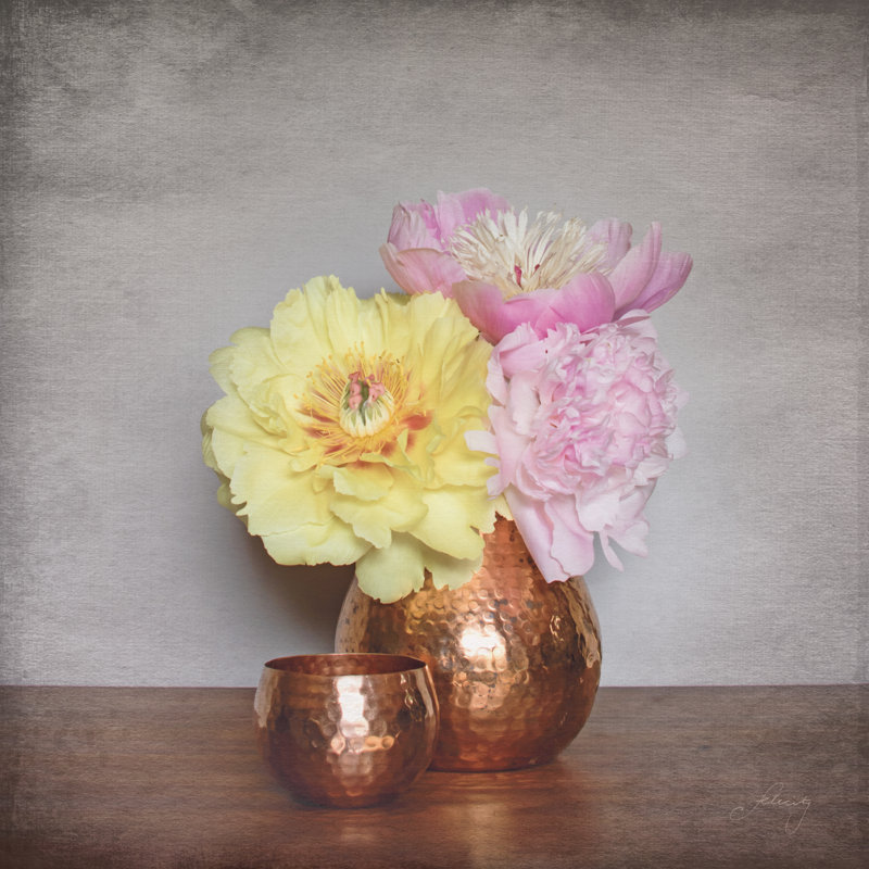 Vintage Peony Dreams II 1 Piece Wrapped Canvas Painting, 30cm H x 30cm W x 3.8cm D
