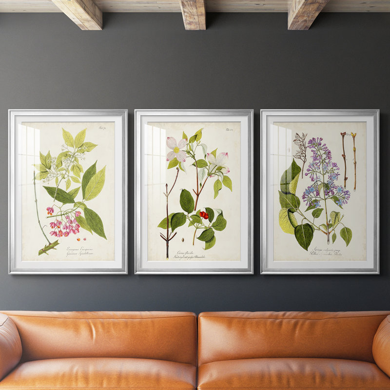Tree in Bloom IV  -Custom Framed  Premium Print W Matt - 3 Pieces, 21" H x 30" W