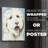 Labradoodle II -Canvas Print Only - NOT FRAMED
