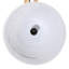 Amaurys Ceiling Light-1915914739