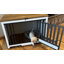 Pet Carrier-1718143717