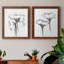 WINDSWept Poppy I - Ensemble de 2 reproductions de cadres photo sur toile-457560640-457560703