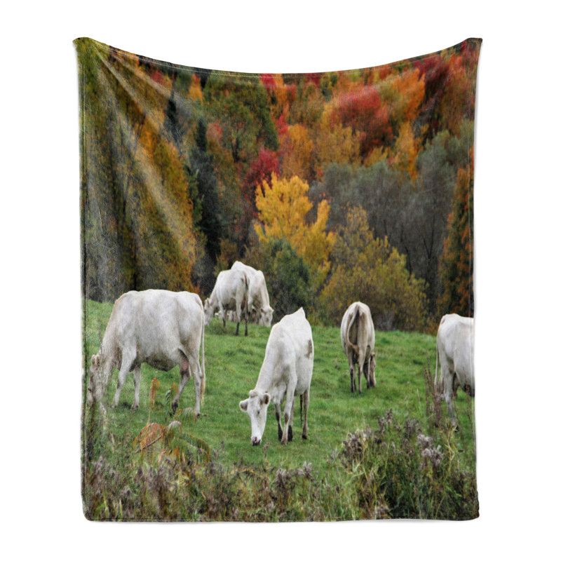 Hand Woven Throw Blanket, 70" x 90"