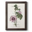 Flower Garden Varietals IV, toile encadrée de qualité supérieure - prête à être accrochée-177136483