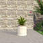Pot à fleurs Tarneshia-1281903835-1281903813