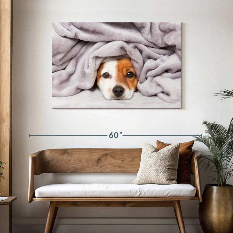 Couverture pour chien Brampt, H 30 po x l 45 po