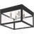 Benjamina Wall Light-1671341950