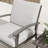 Nettleton 2-Piece Aluminum Outdoor Patio Lounge Chairs With Light Gray Cushions
