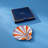 Scallop Tray