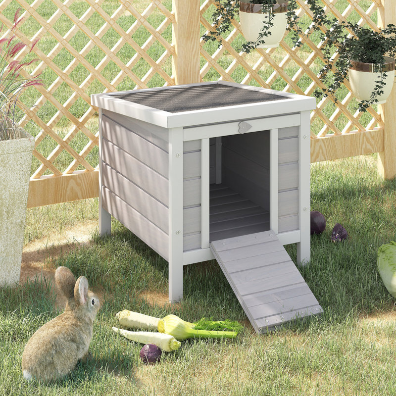 Petit lapin avec construction humide - convient au cochon d'Inde, au chiot