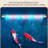 19.69"Vertical MediumSized Clear Glass Ecological Fish Tank-319787525