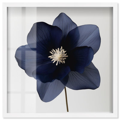«Night Dal II Shadowbox», impression d'art floral bleu par Art Remedy