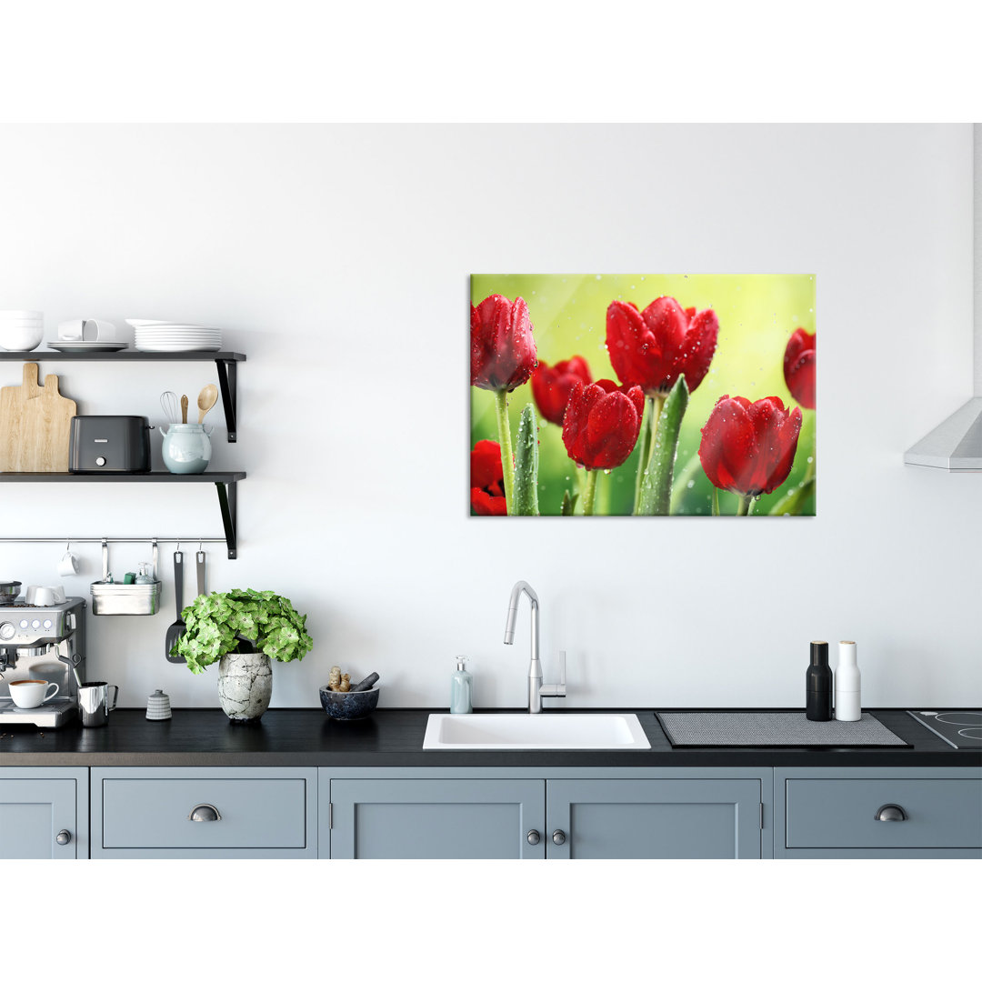 Glasbild Rote Tulpen mit Tropfen bedeckt