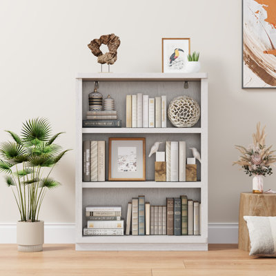 Brusnice 42" H x 31" W Standard Bookcase with 3-Tiers Shelf