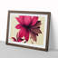 Blooming Flower - Single Picture Frame Print-1617642418-1617642421