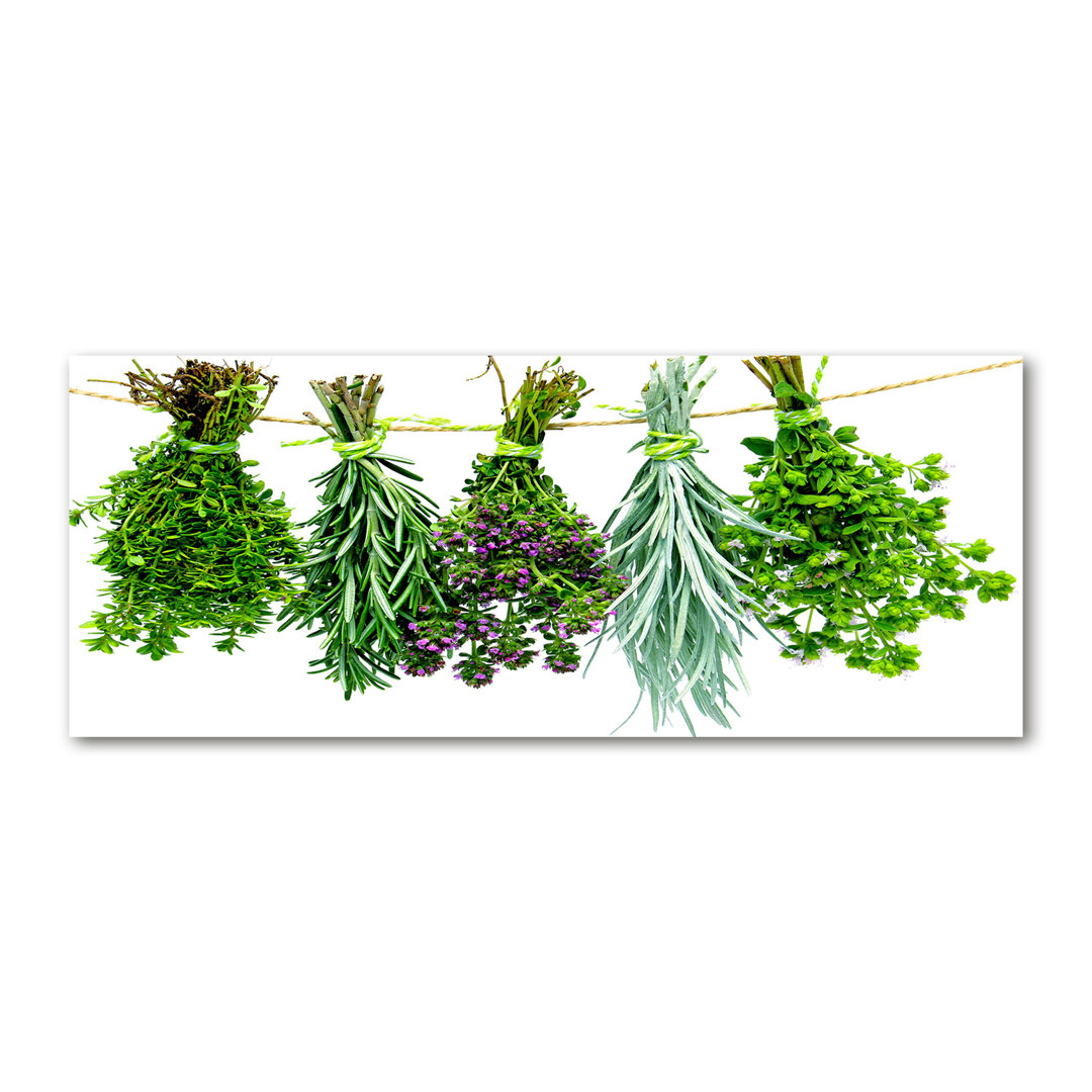 Glasbild Herbs On A String