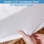 Douglasland Waterproof Mattress Protector Case Pack