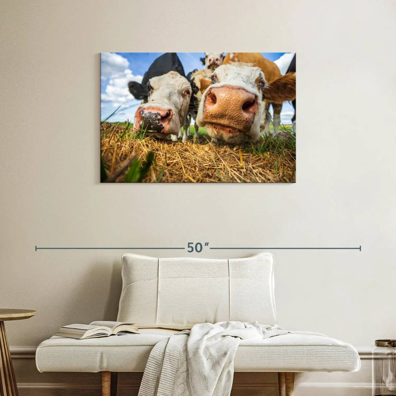 Curious Cows, 24" H x 36" W