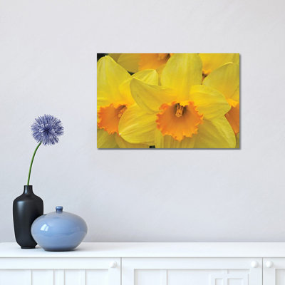 Daffodils 1 Piece Wrapped Canvas Wall Art