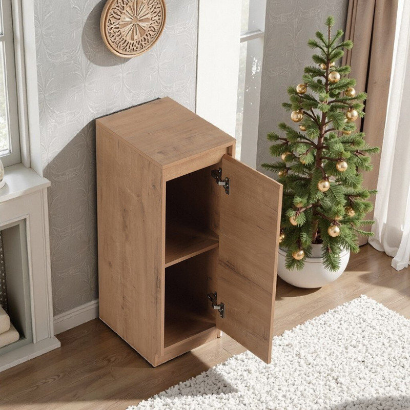 Armoire de rangement avec compartiment inclinable, tablettes réglables, charnières à fermeture en douceur, capacité de 80 lb