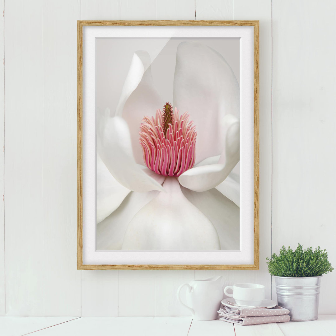 Gerahmtes Papierbild Magnolie in Rosa