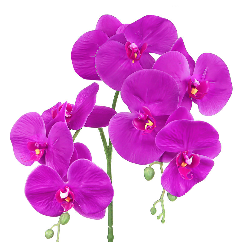 Tige de fleur d'orchidée artificielle, Mauve