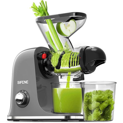 Efficient Juicer by SIFENE, 2-Speed, Stainless Steel, Slow Masticating, Cold Press