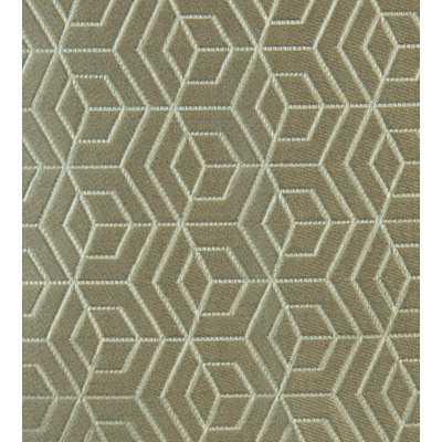 Optimist Hoopstar Fabric