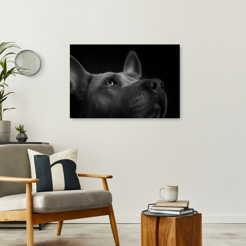 Attentive Dog Gaze Contemporary Dog Wall Art Print 1 Piece Wrapped Canvas Wall Art, 60.96cm H x 91.44cm W