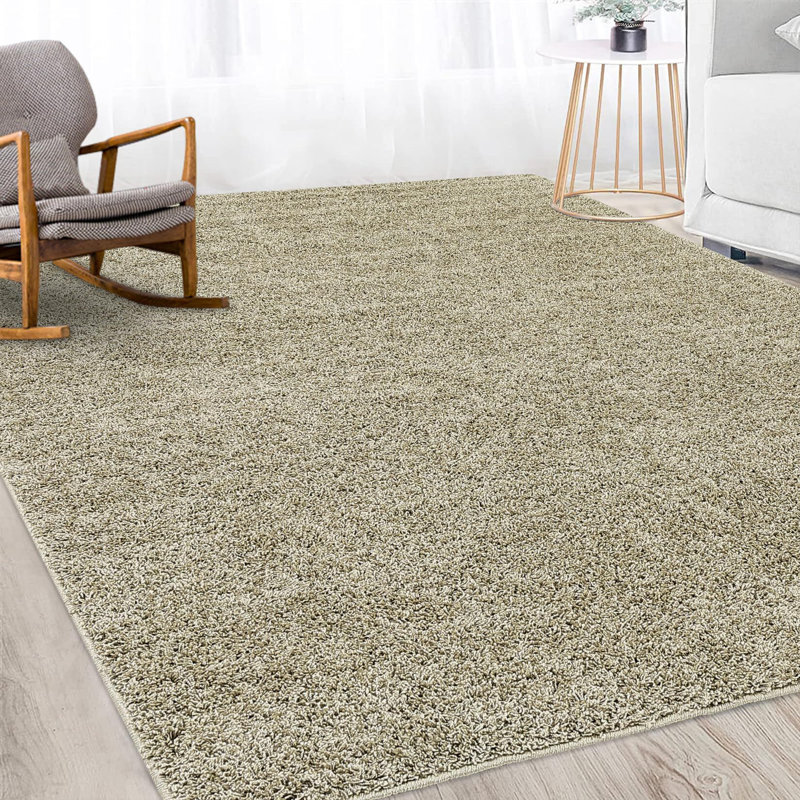 Tapis de salon uni à poils longs résistant aux taches, Rectangle 9 pi x 12 pi