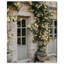 Honeyed Briar Wall Print by Oliver Gal-1535029057-1535029114