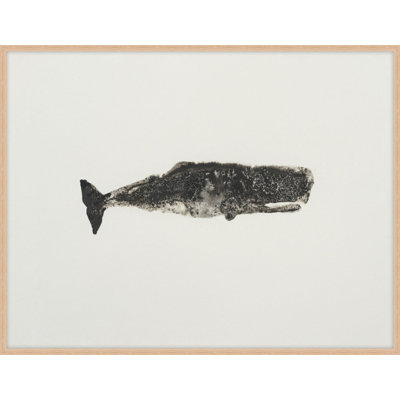 Ocean Creatures 7 Framed Drawing Print